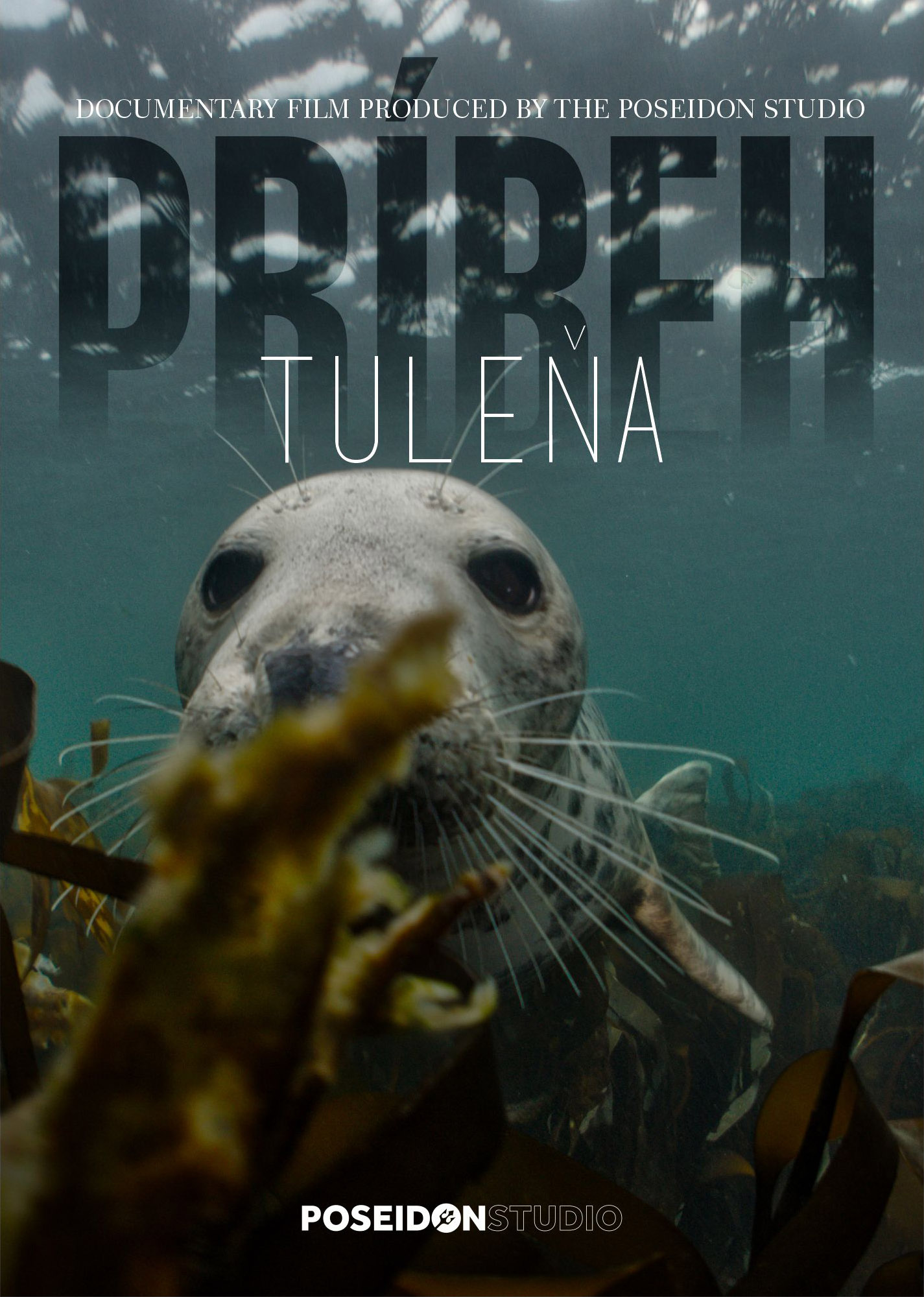 pribeh tulena cover 03