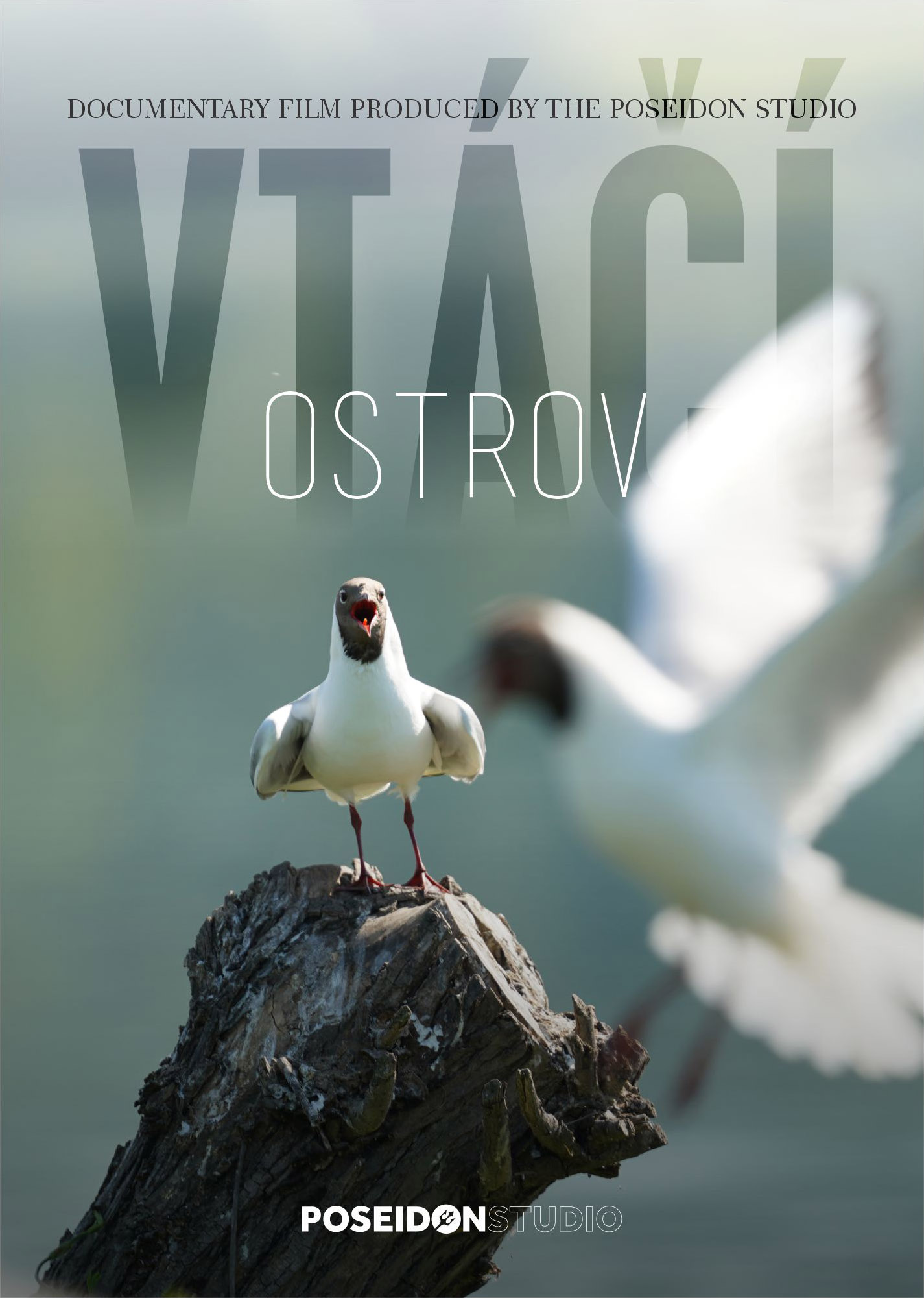 vtaci ostrov cover 01
